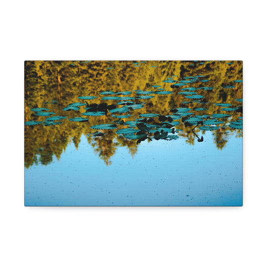 Reflections of Stillness