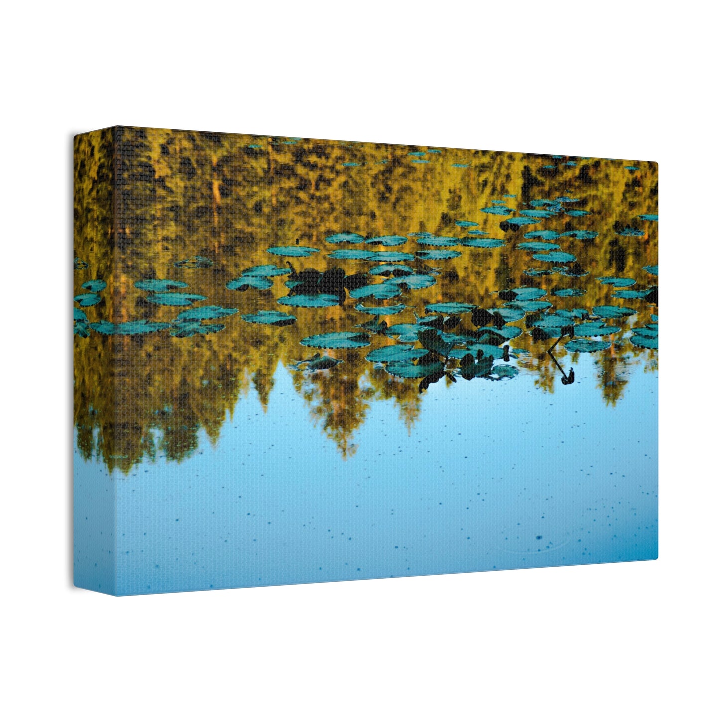 Reflections of Stillness