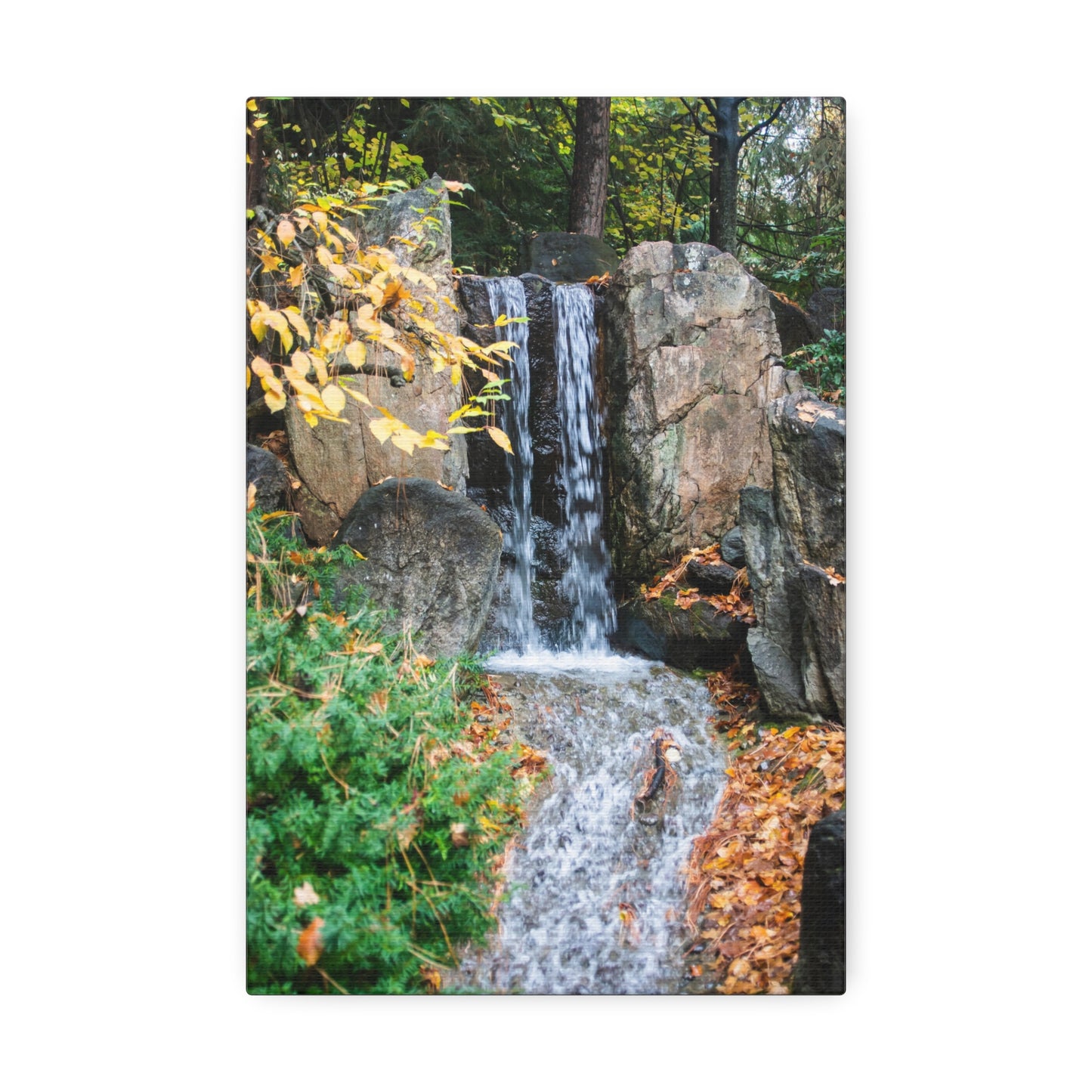 Flow of Renewal